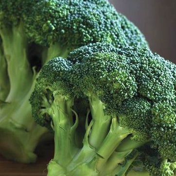 Broccoli Seeds - Organic, Non-GMO