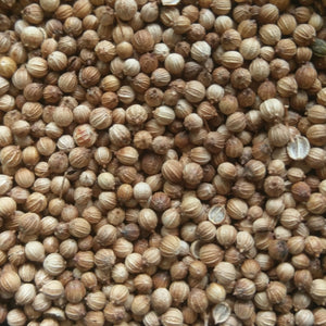 Cilantro Seeds - Organic, Non-GMO, Heirloom